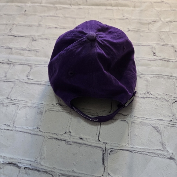 TCU Sequince Outlined Horned Frogs Purple Baseball Cap Size:Kids - Picture 4 of 6